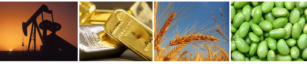 crude oil, precious metals (gold and silver), wheat and soy beans futures trading products