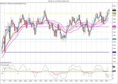 YM 03-10  2_17_2010 (599 Tick).jpg